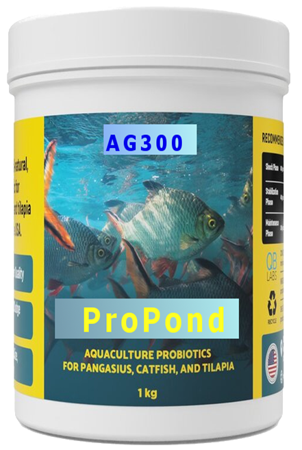AP300