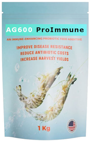 AP600